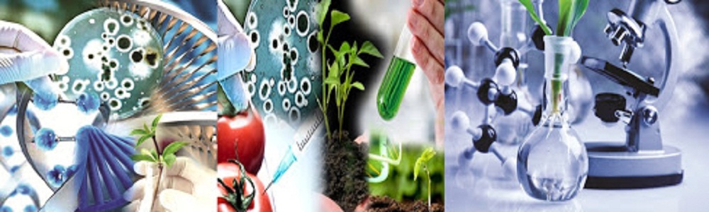 Scholarship For B Sc Biotechnology In Government And Private Colleges